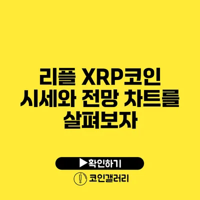 리플 XRP코인 시세와 전망: 차트를 살펴보자