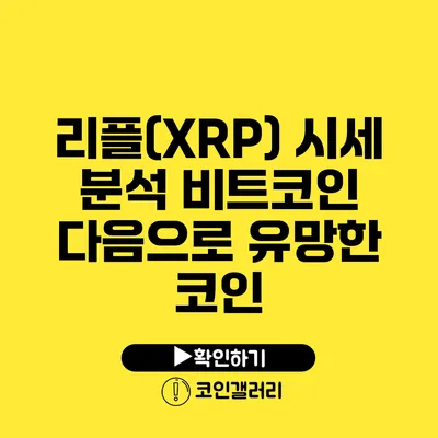 리플(XRP) 시세 분석: 비트코인 다음으로 유망한 코인