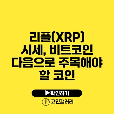 리플(XRP) 시세, 비트코인 다음으로 주목해야 할 코인