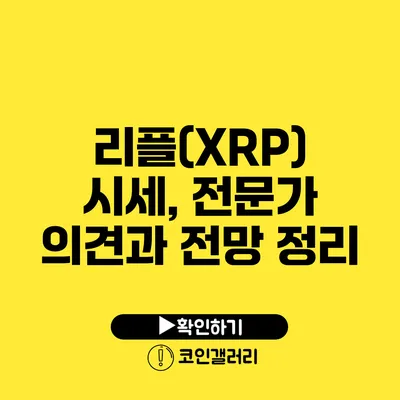 리플(XRP) 시세, 전문가 의견과 전망 정리