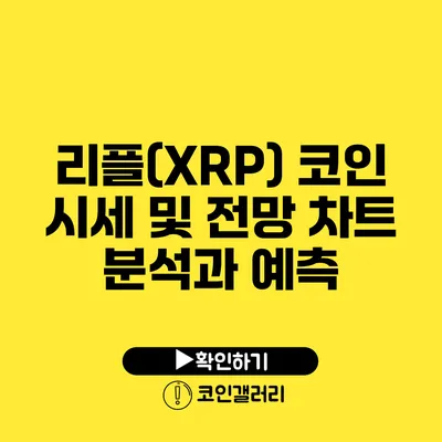 리플(XRP) 코인 시세 및 전망: 차트 분석과 예측
