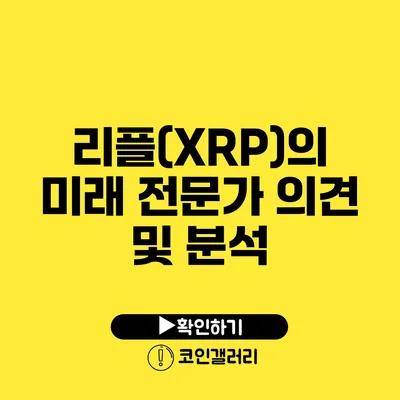 리플(XRP)의 미래: 전문가 의견 및 분석
