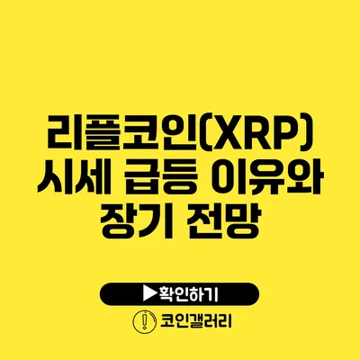 리플코인(XRP) 시세 급등 이유와 장기 전망