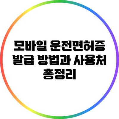 모바일 운전면허증 발급 방법과 사용처 총정리