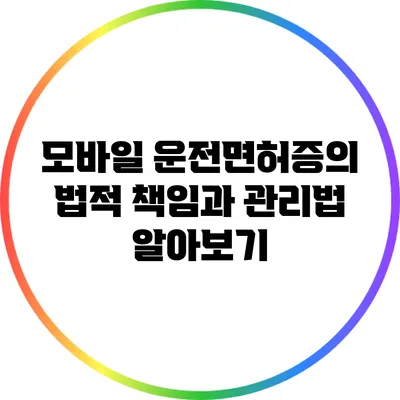 모바일 운전면허증의 법적 책임과 관리법 알아보기