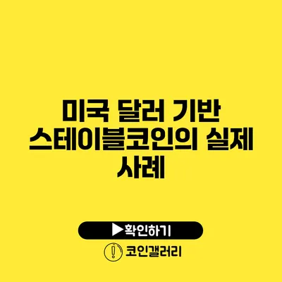 미국 달러 기반 스테이블코인의 실제 사례