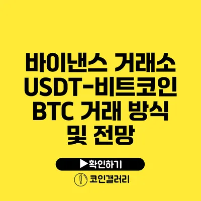 바이낸스 거래소: USDT-비트코인 BTC 거래 방식 및 전망