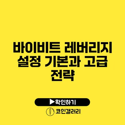 바이비트 레버리지 설정: 기본과 고급 전략