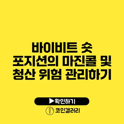 바이비트 숏 포지션의 마진콜 및 청산 위험 관리하기
