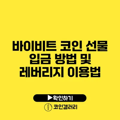 바이비트 코인 선물 입금 방법 및 레버리지 이용법
