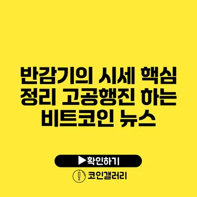 반감기의 시세 핵심 정리: 고공행진 하는 비트코인 뉴스