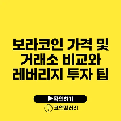보라코인 가격 및 거래소 비교와 레버리지 투자 팁