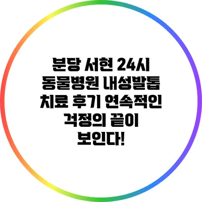 분당 서현 24시 동물병원 내성발톱 치료 후기: 연속적인 걱정의 끝이 보인다!