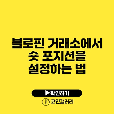 블로핀 거래소에서 숏 포지션을 설정하는 법