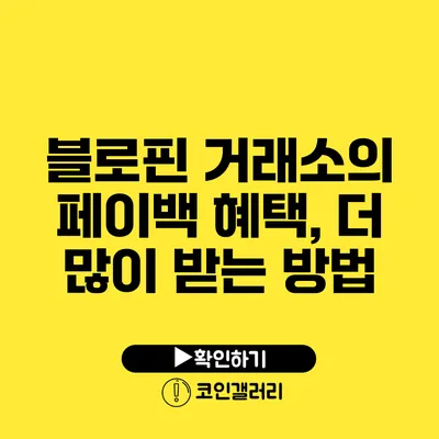 블로핀 거래소의 페이백 혜택, 더 많이 받는 방법