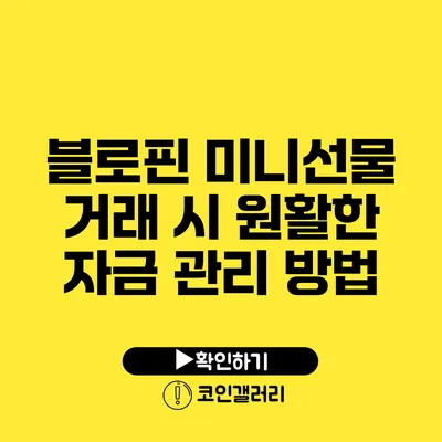 블로핀 미니선물 거래 시 원활한 자금 관리 방법