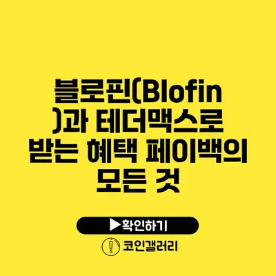 블로핀(Blofin)과 테더맥스로 받는 혜택: 페이백의 모든 것