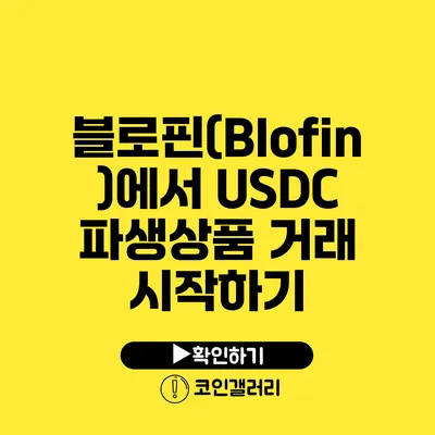 블로핀(Blofin)에서 USDC 파생상품 거래 시작하기