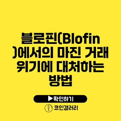 블로핀(Blofin)에서의 마진 거래: 위기에 대처하는 방법