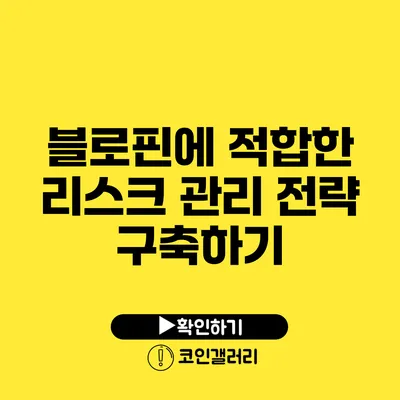 블로핀에 적합한 리스크 관리 전략 구축하기