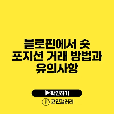 블로핀에서 숏 포지션 거래 방법과 유의사항