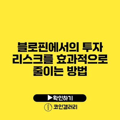 블로핀에서의 투자 리스크를 효과적으로 줄이는 방법