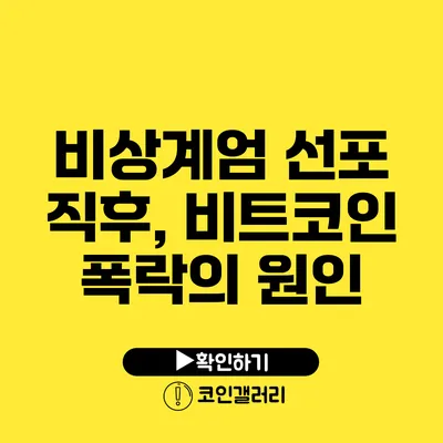 비상계엄 선포 직후, 비트코인 폭락의 원인