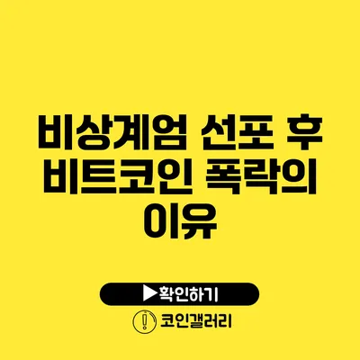 비상계엄 선포 후 비트코인 폭락의 이유
