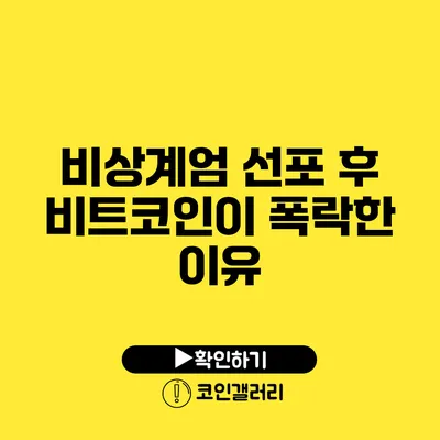비상계엄 선포 후 비트코인이 폭락한 이유