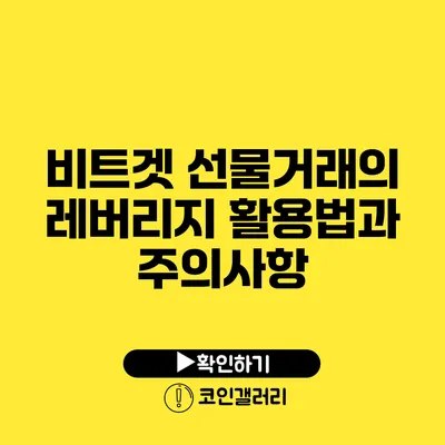 비트겟 선물거래의 레버리지 활용법과 주의사항