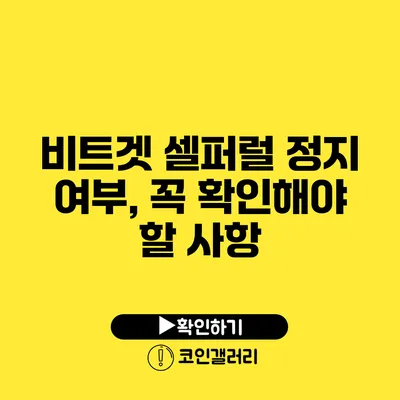 비트겟 셀퍼럴 정지 여부, 꼭 확인해야 할 사항