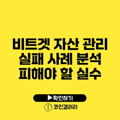 비트겟 자산 관리 실패 사례 분석: 피해야 할 실수