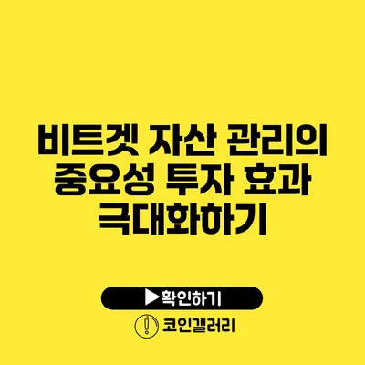 비트겟 자산 관리의 중요성: 투자 효과 극대화하기