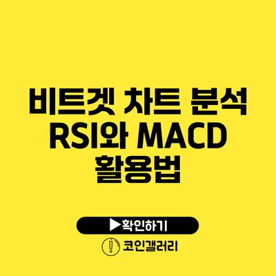 비트겟 차트 분석: RSI와 MACD 활용법