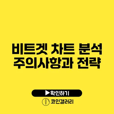 비트겟 차트 분석 주의사항과 전략