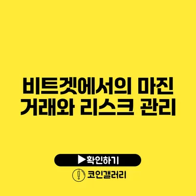 비트겟에서의 마진 거래와 리스크 관리