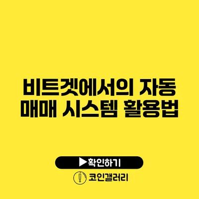 비트겟에서의 자동 매매 시스템 활용법
