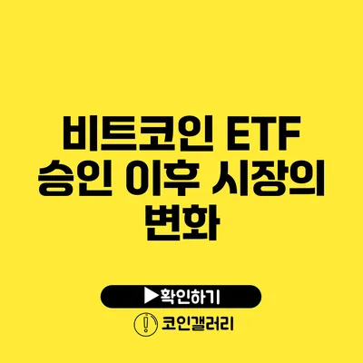 비트코인 ETF 승인 이후 시장의 변화
