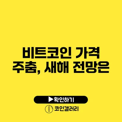 비트코인 가격 주춤, 새해 전망은?
