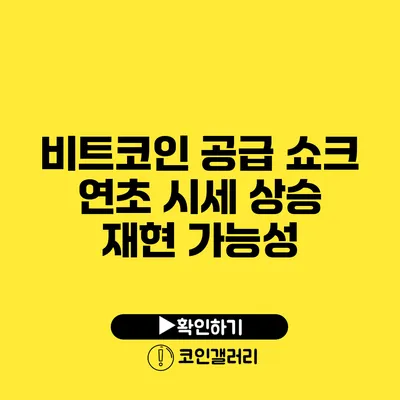 비트코인 공급 쇼크: 연초 시세 상승 재현 가능성