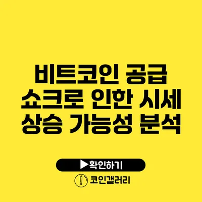 비트코인 공급 쇼크로 인한 시세 상승 가능성 분석