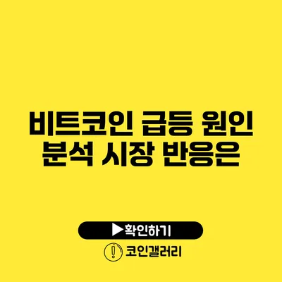 비트코인 급등 원인 분석: 시장 반응은?