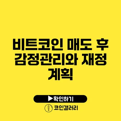 비트코인 매도 후 감정관리와 재정 계획