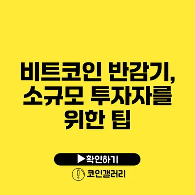 비트코인 반감기, 소규모 투자자를 위한 팁