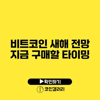 비트코인 새해 전망: 지금 구매할 타이밍?