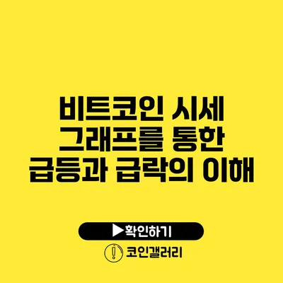 비트코인 시세 그래프를 통한 급등과 급락의 이해