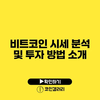 비트코인 시세 분석 및 투자 방법 소개
