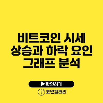 비트코인 시세 상승과 하락 요인: 그래프 분석