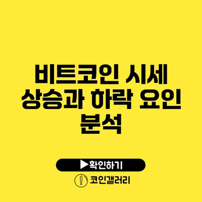 비트코인 시세 상승과 하락 요인 분석