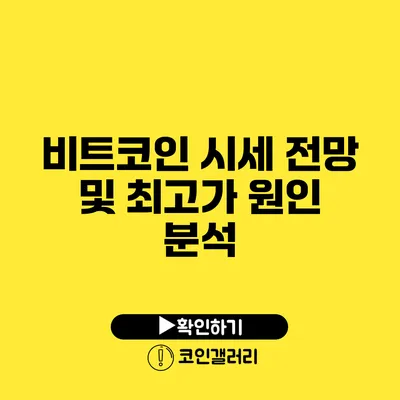 비트코인 시세 전망 및 최고가 원인 분석